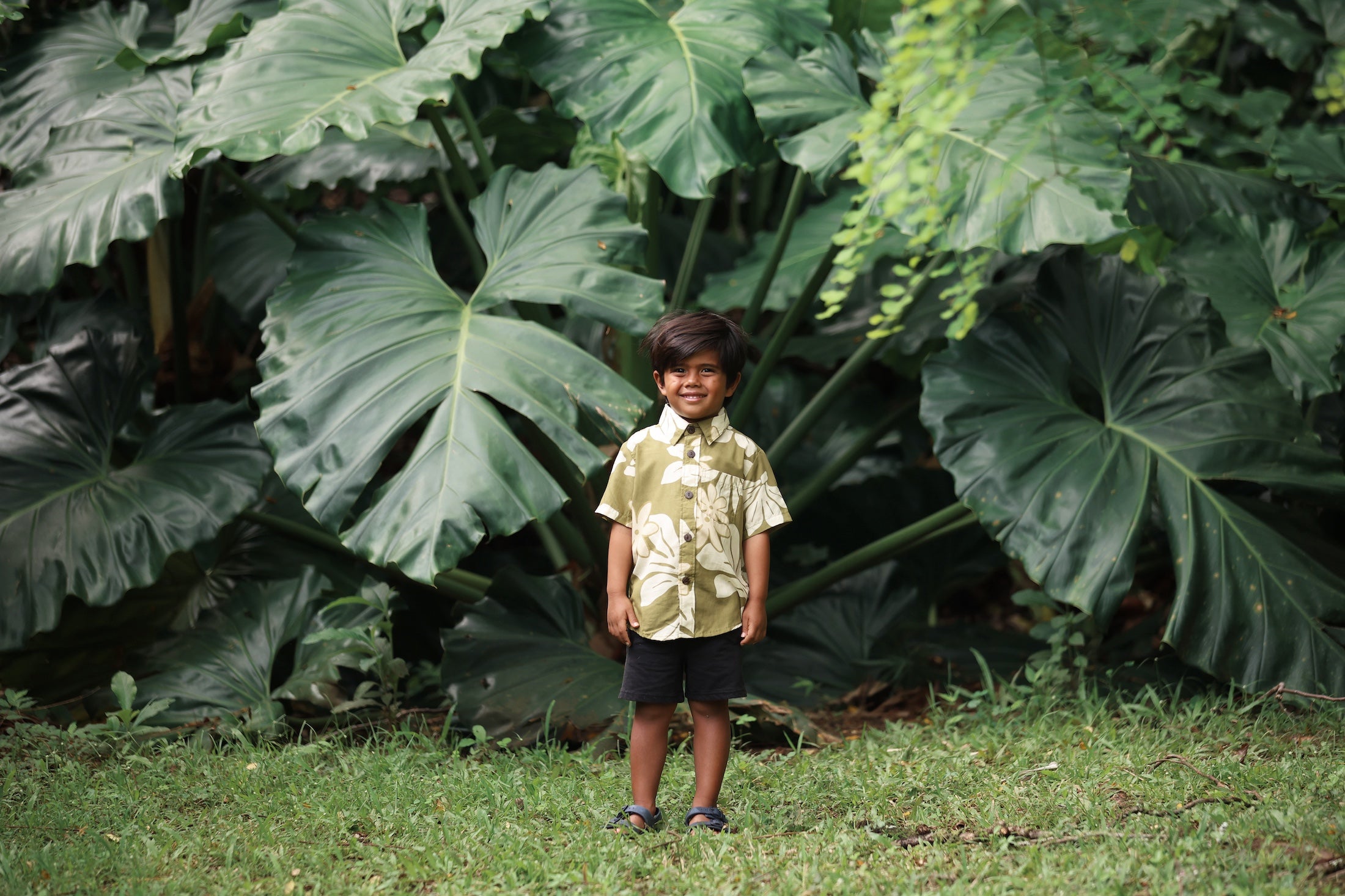 little boy wearing mini aloha button up shirt in green print and naupaka pattern