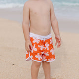 Shorebreak Boys Board Shorts in Koki'o Blossom (Tangerine)