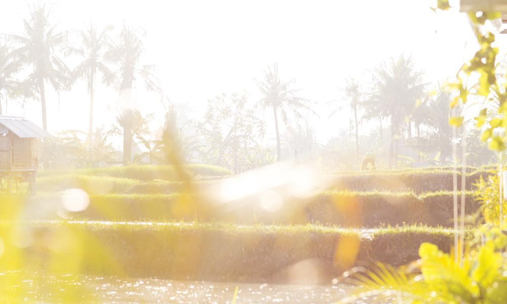 Bali, Paradise Found