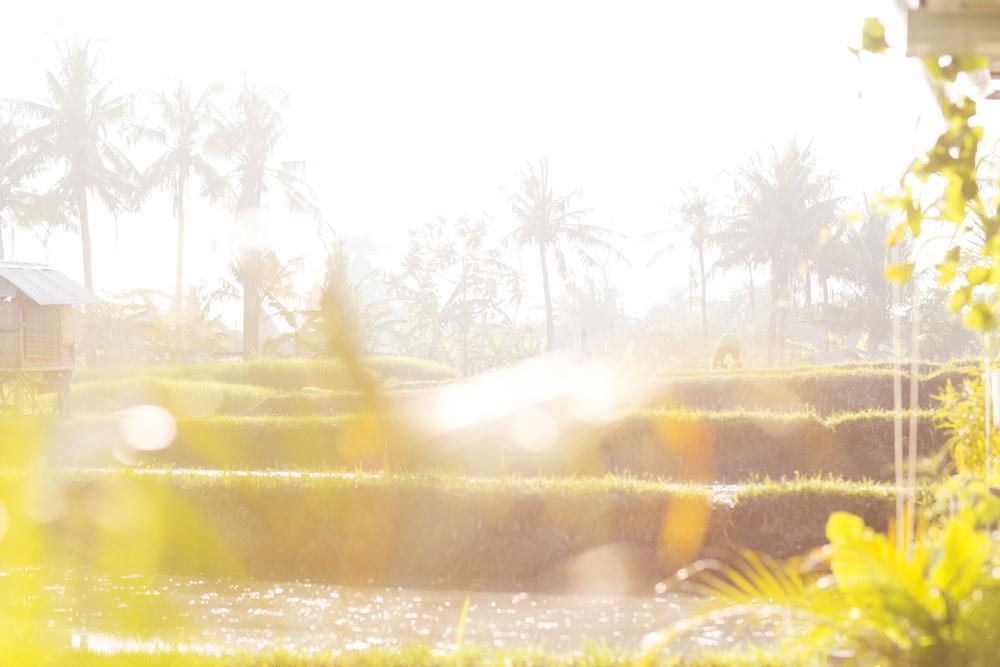 Bali, Paradise Found