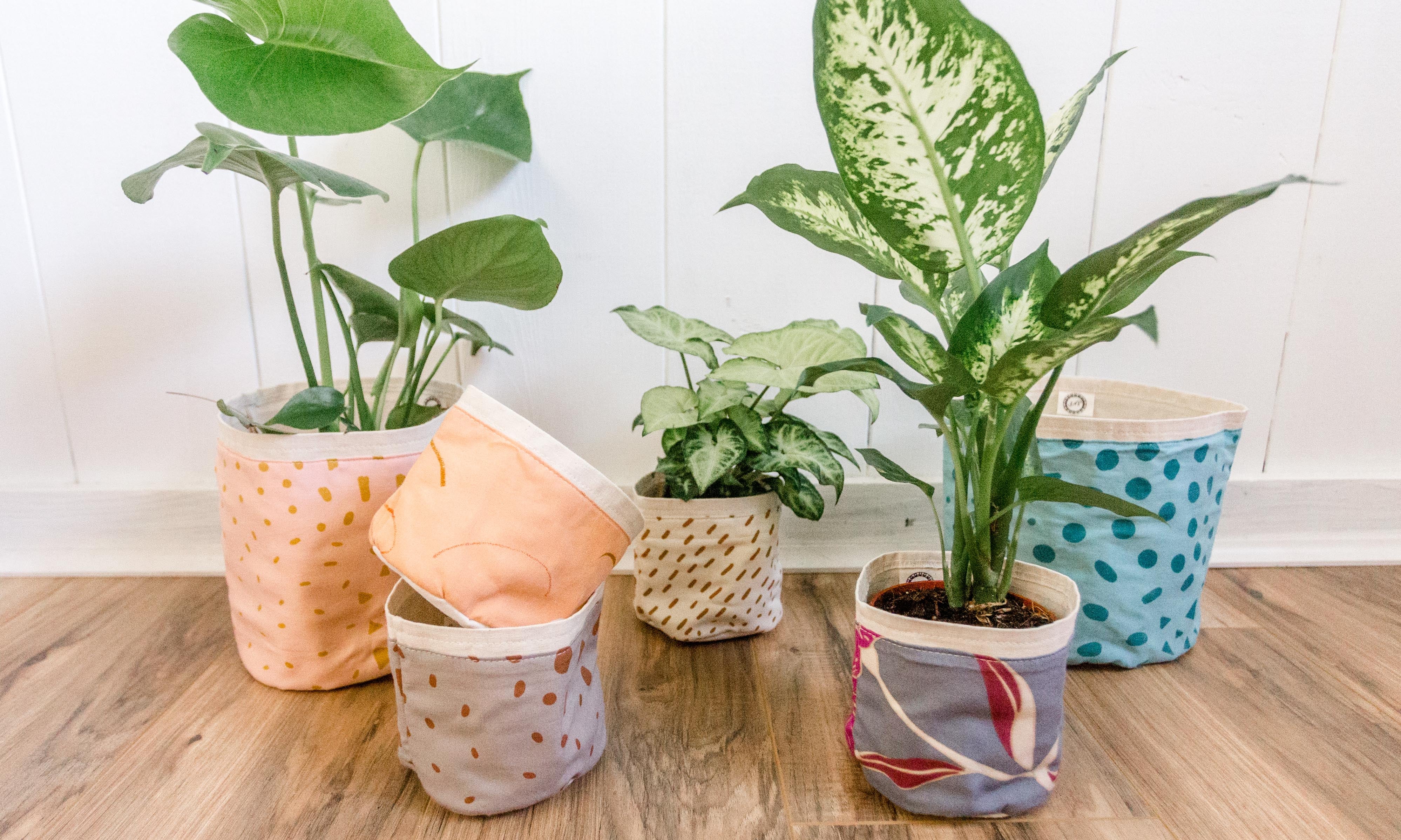 Sustainability tips for all stages of life
