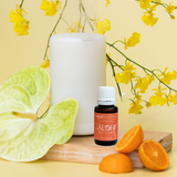'Alohi Diffuser Oil