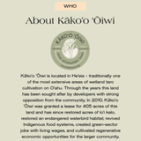 YIREH Community Day - November 8