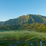 YIREH Community Day - November 8