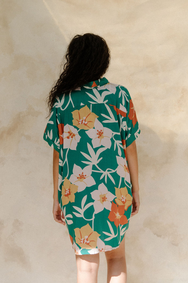 Woman in short sleeve shirt dress with multi colored floral print on green ground.