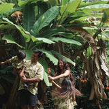 family wearing matching aloha wear in green print with naupaka pattern