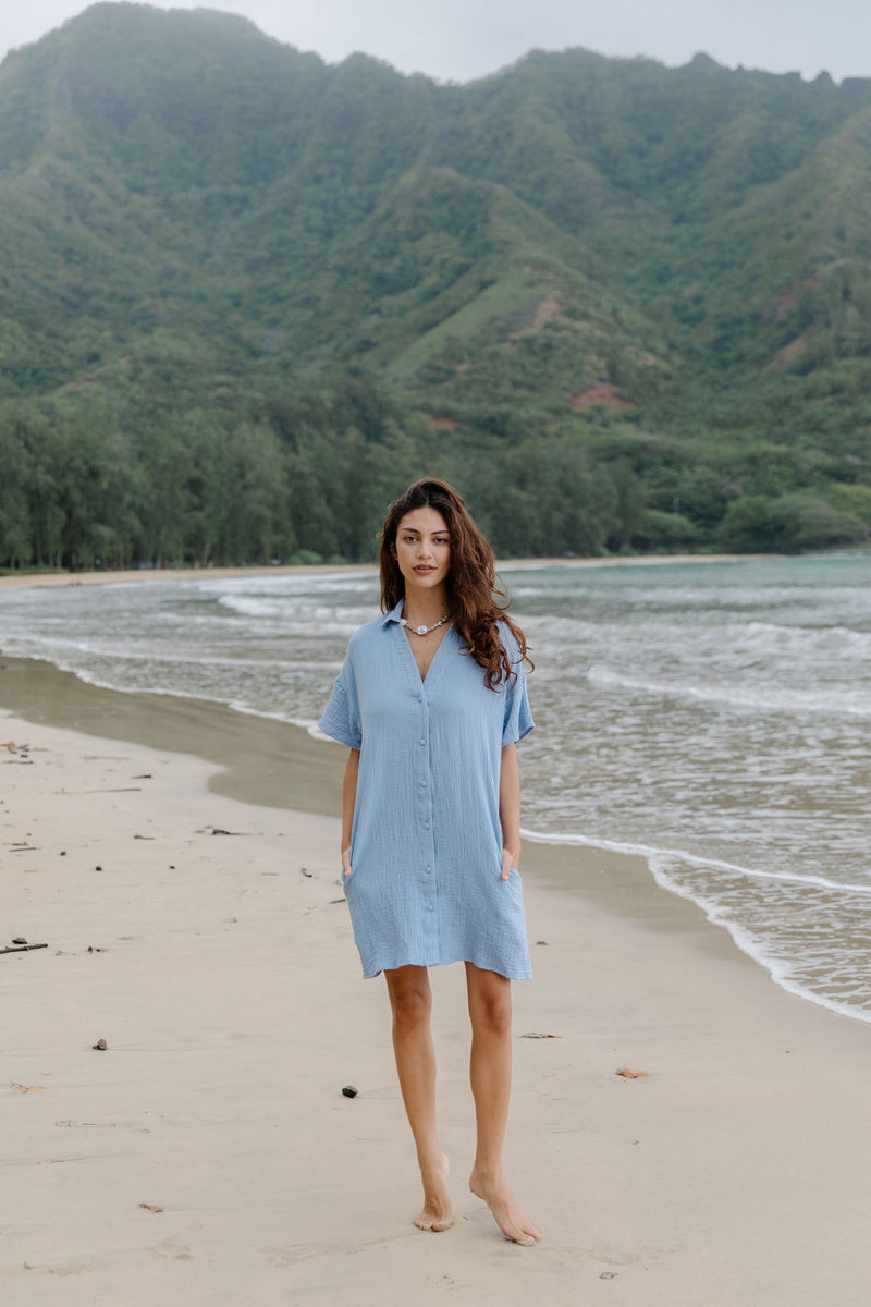 Rhea Dress in Dusty Blue