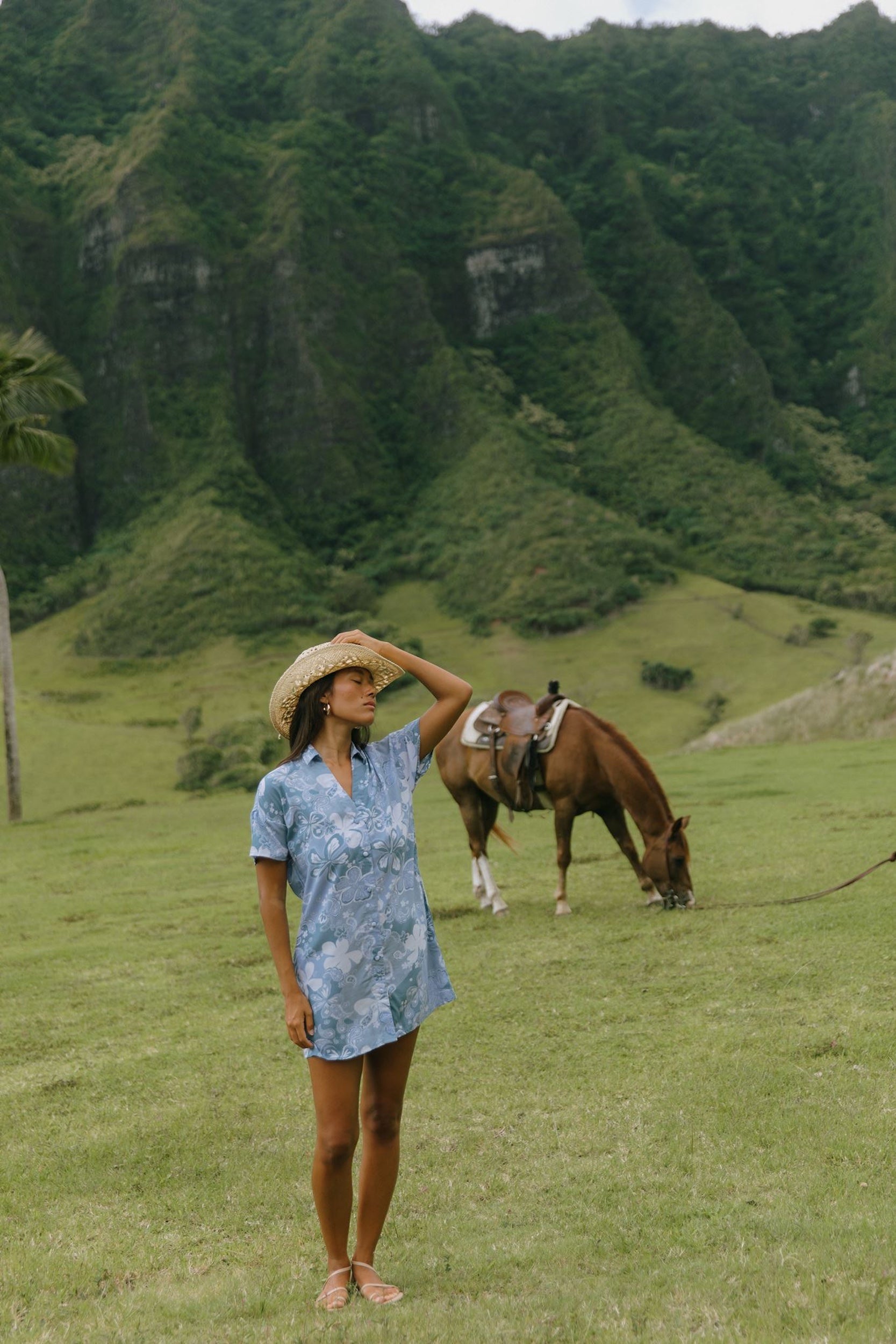 woman with brown hair wearing blue paniolo print collared button down dress